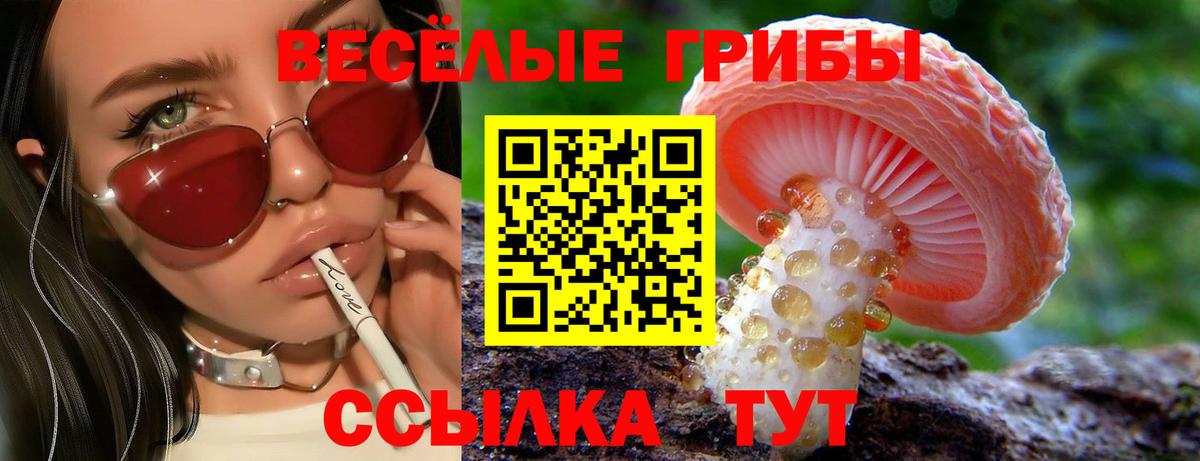 Кольчугино  Псилоцибиновые грибы MAGIC MUSHROOMS  дарнет шоп  Вход с VPN 