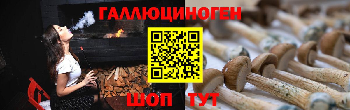 Псилоцибиновые грибы мицелий Кольчугино